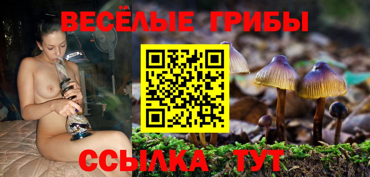Галлюциногенные грибы Cubensis  Вход с VPN  Димитровград 